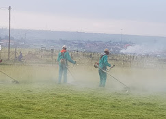 Lawn Trimming in Action